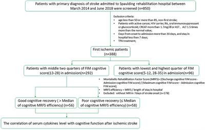 Multiplex array analysis of serum cytokines offers minimal predictive value for cognitive function in the subacute phase after stroke